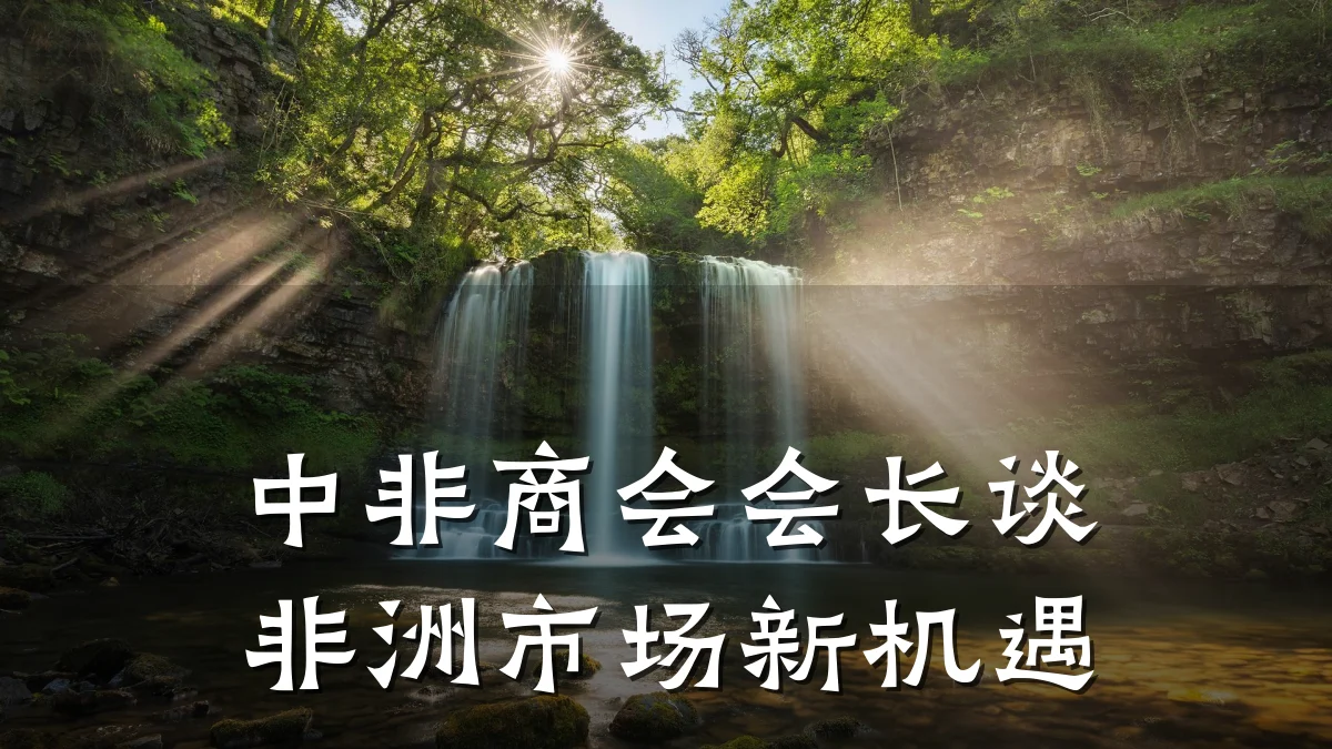 中非商会会长谈非洲市场新机遇