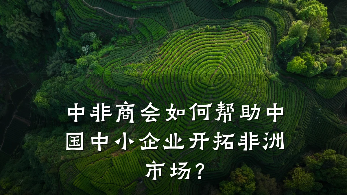 中非商会如何帮助中国中小企业开拓非洲市场？