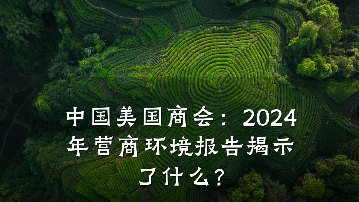 中国美国商会：2024年营商环境报告揭示了什么？