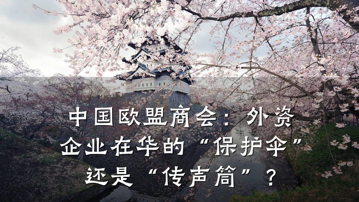 中国欧盟商会：外资企业在华的“保护伞”还是“传声筒”？
