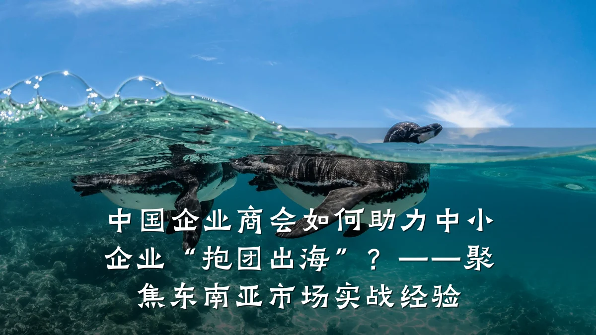 中国企业商会如何助力中小企业“抱团出海”?——聚焦东南亚市场实战经验