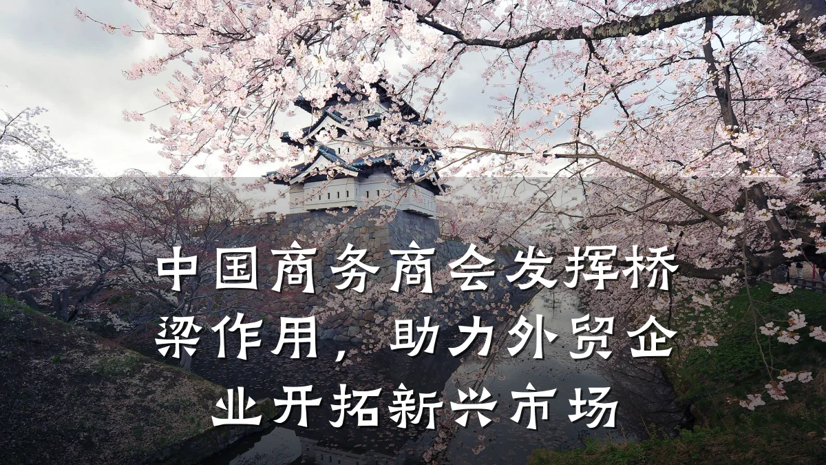 中国商务商会发挥桥梁作用,助力外贸企业开拓新兴市场