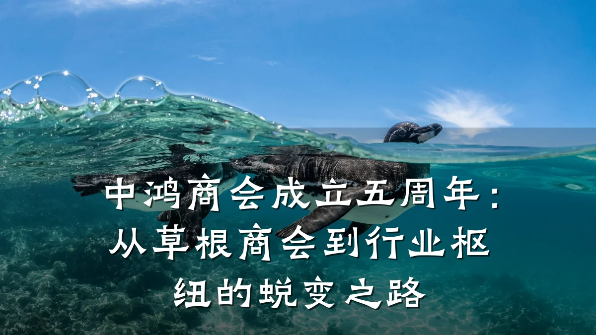中鸿商会成立五周年:从草根商会到行业枢纽的蜕变之路