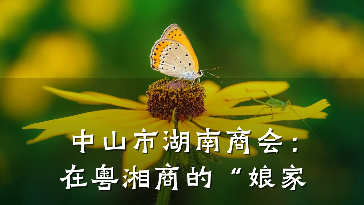 中山市湖南商会:在粤湘商的“娘家