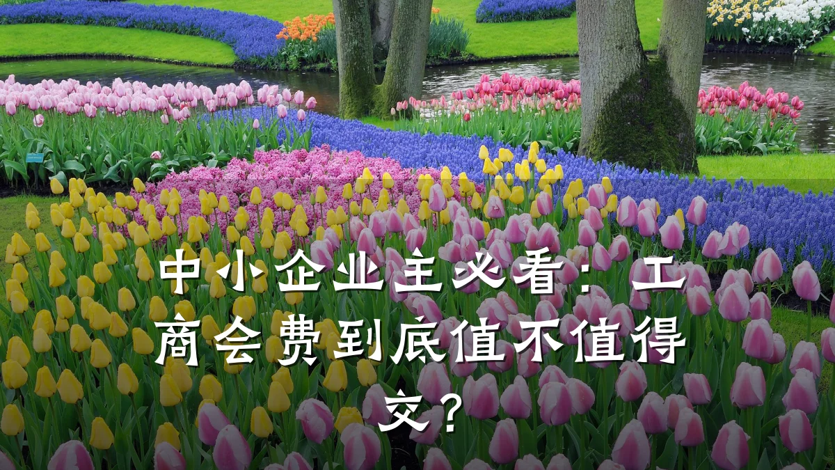 中小企业主必看:工商会费到底值不值得交?