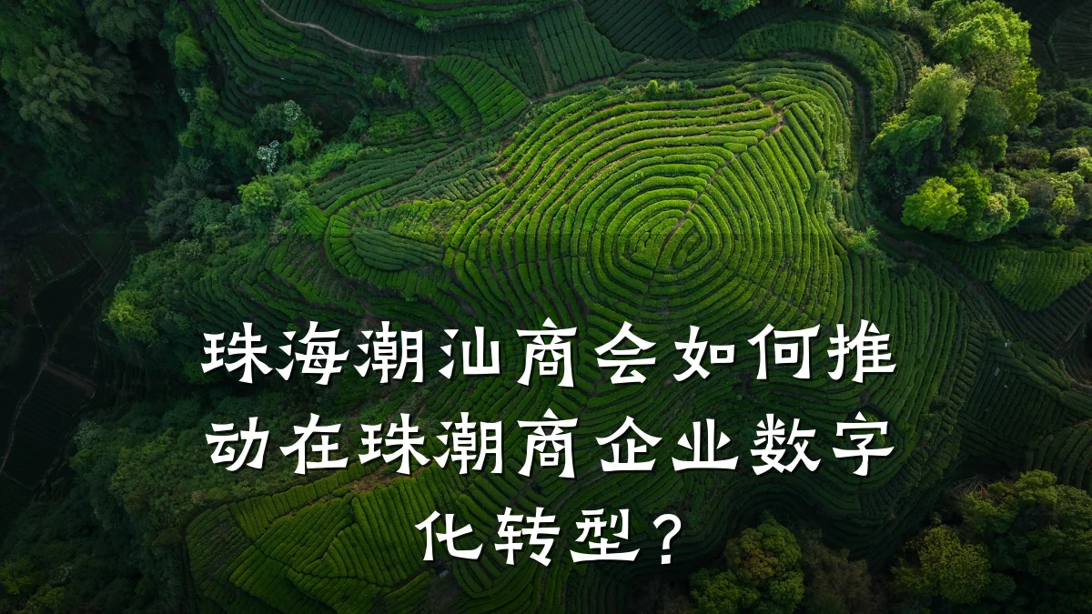珠海潮汕商会如何推动在珠潮商企业数字化转型?