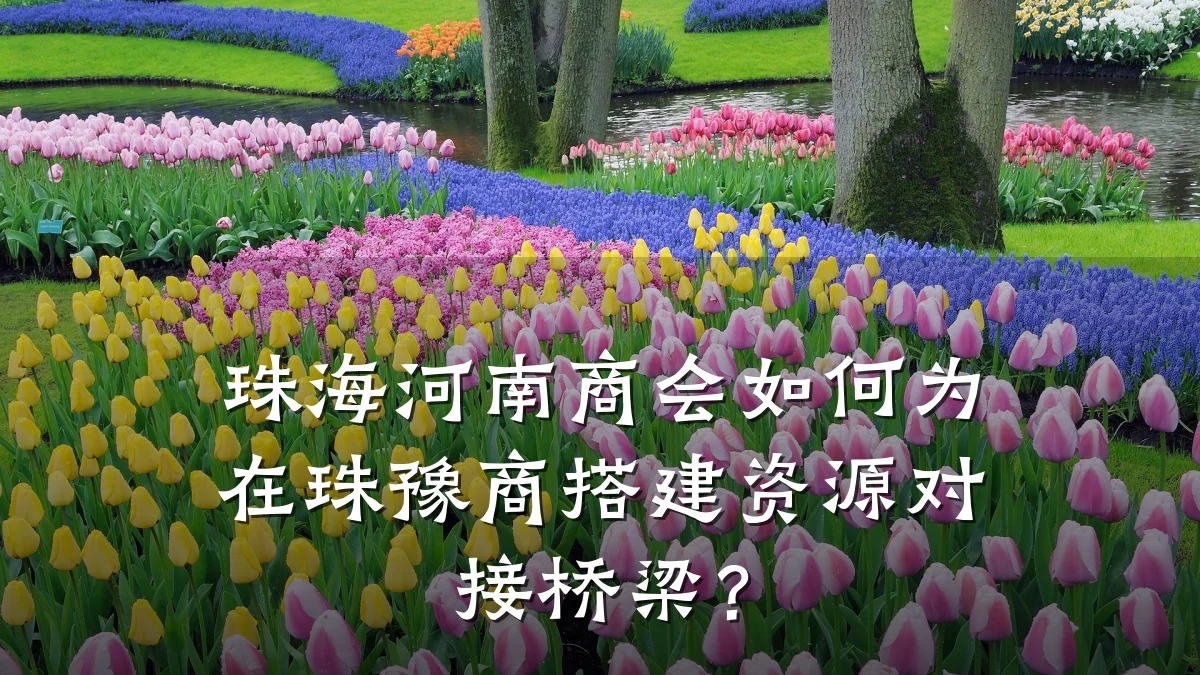 珠海河南商会如何为在珠豫商搭建资源对接桥梁?