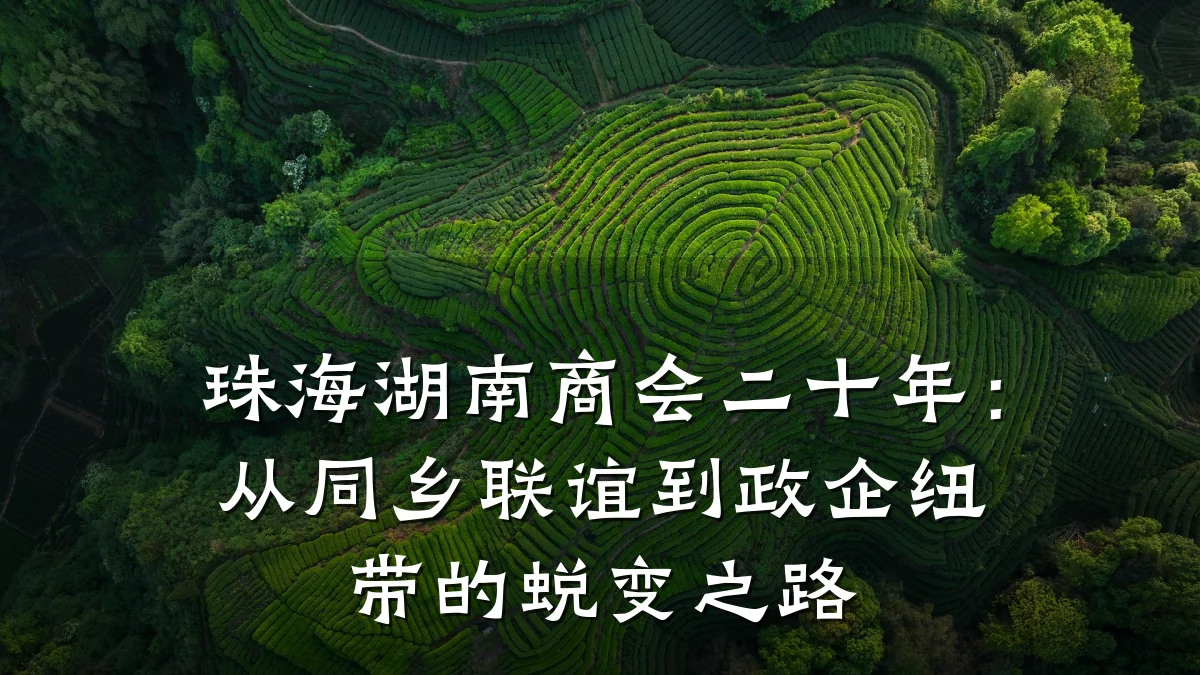 珠海湖南商会二十年:从同乡联谊到政企纽带的蜕变之路