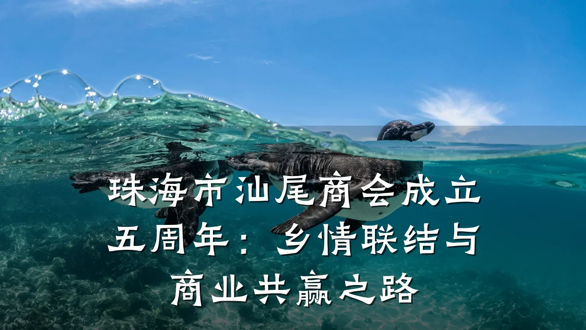 珠海市汕尾商会成立五周年:乡情联结与商业共赢之路