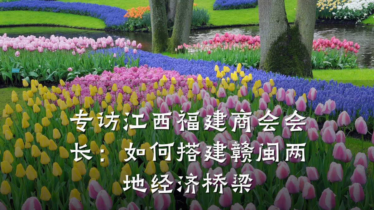 专访江西福建商会会长:如何搭建赣闽两地经济桥梁