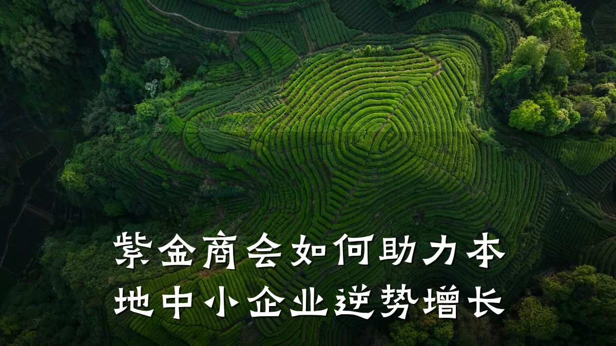 紫金商会如何助力本地中小企业逆势增长