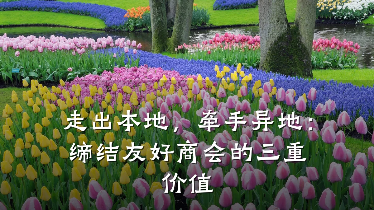 走出本地,牵手异地:缔结友好商会的三重价值