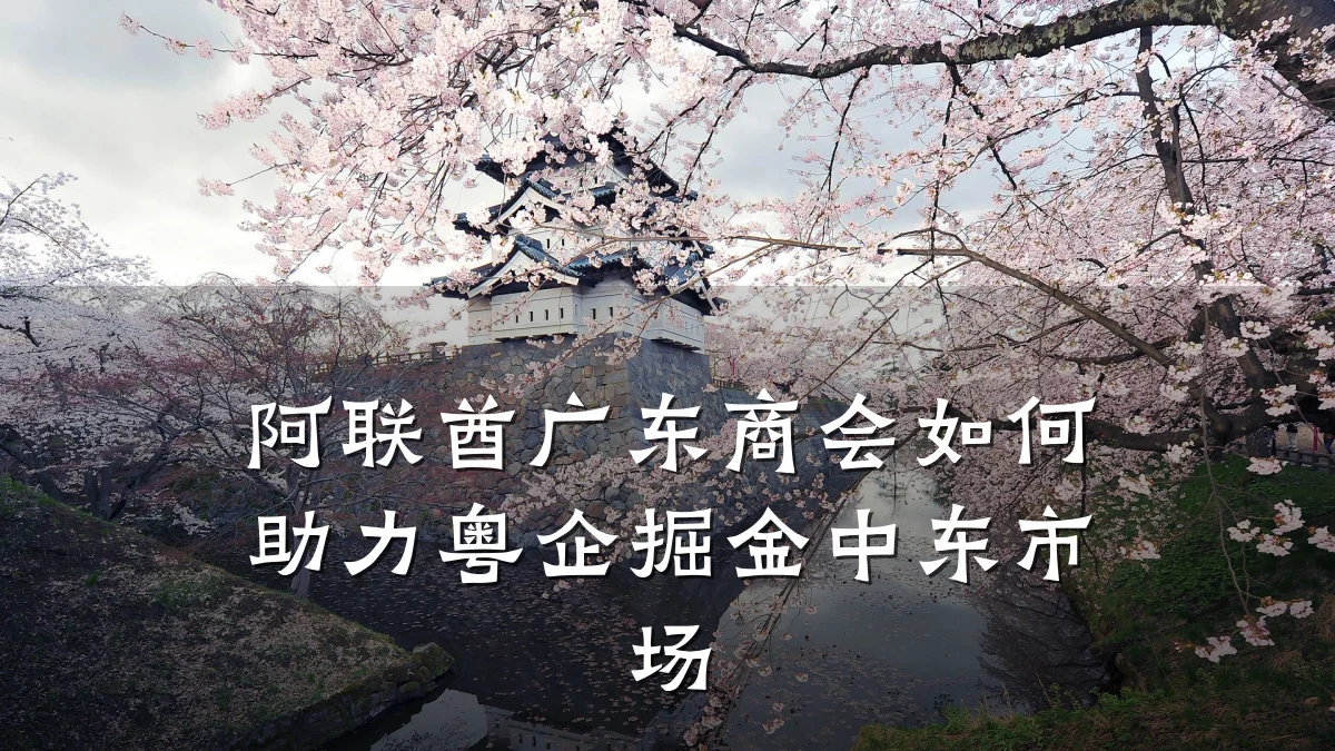 阿联酋广东商会如何助力粤企掘金中东市场