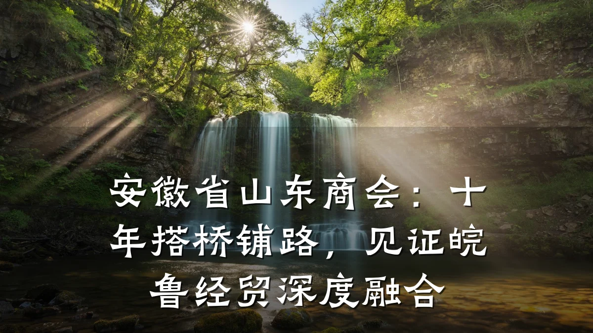 安徽省山东商会:十年搭桥铺路,见证皖鲁经贸深度融合