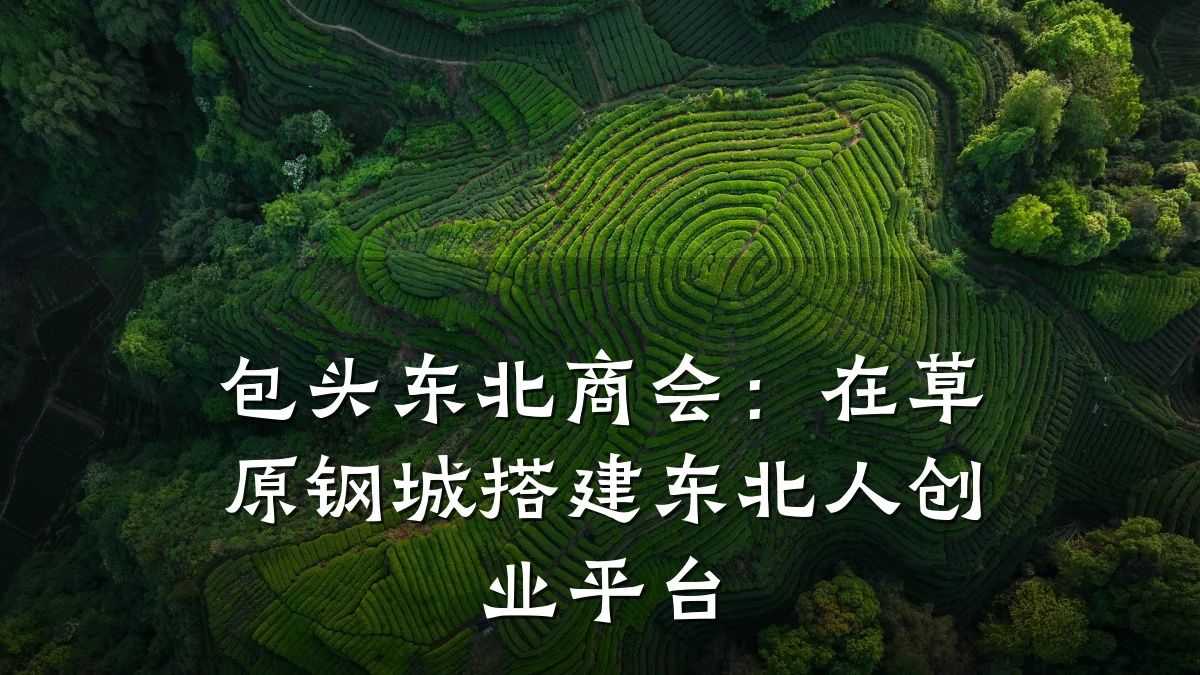 包头东北商会:在草原钢城搭建东北人创业平台