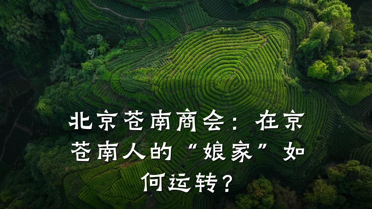 北京苍南商会：在京苍南人的“娘家”如何运转？