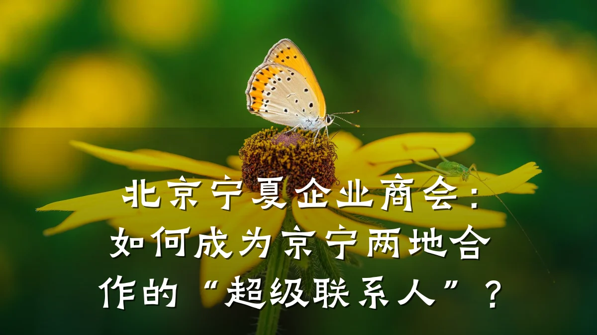 北京宁夏企业商会:如何成为京宁两地合作的“超级联系人”?