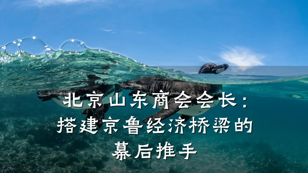 北京山东商会会长:搭建京鲁经济桥梁的幕后推手