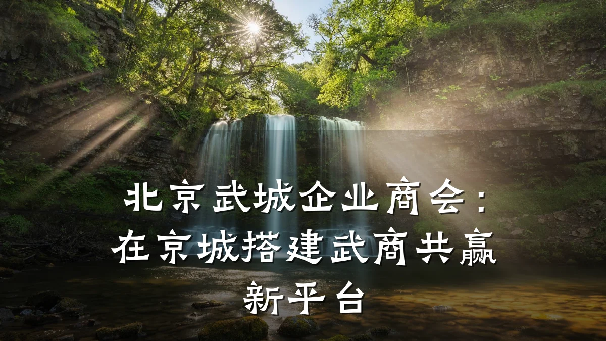 北京武城企业商会:在京城搭建武商共赢新平台