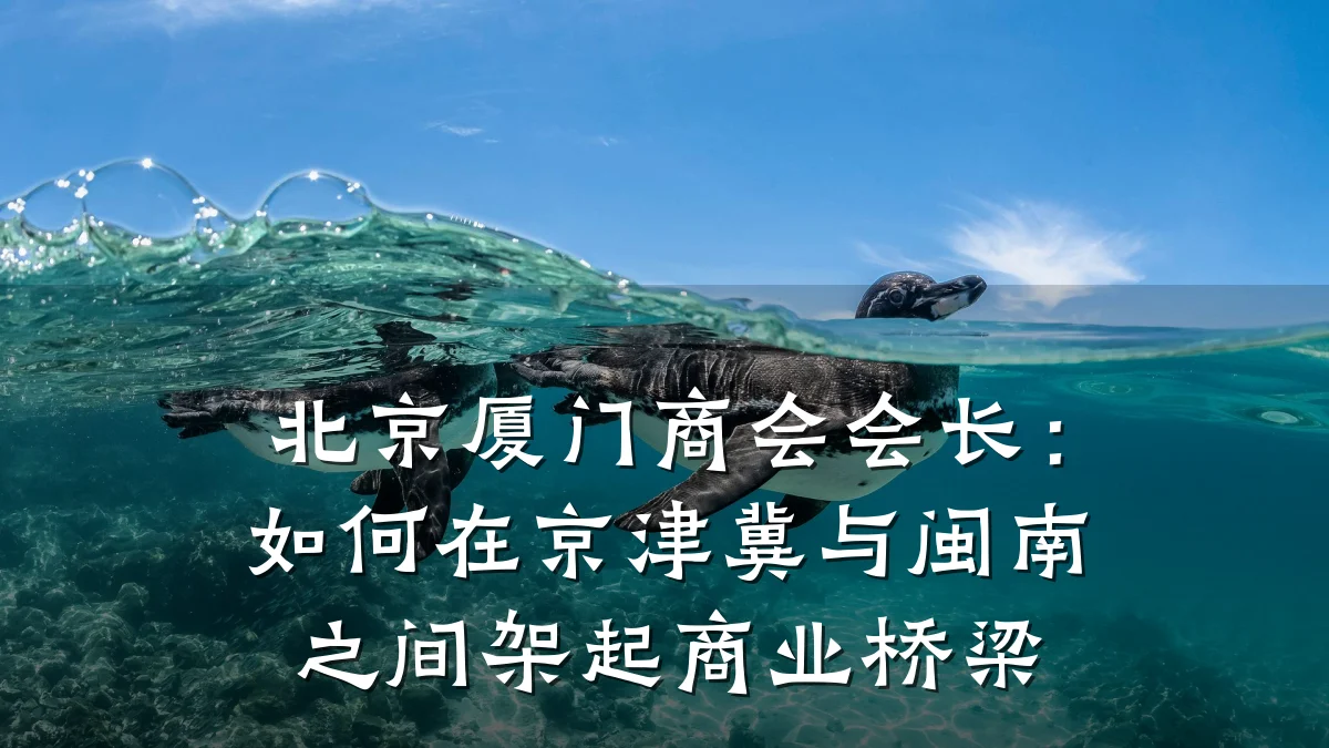 北京厦门商会会长:如何在京津冀与闽南之间架起商业桥梁