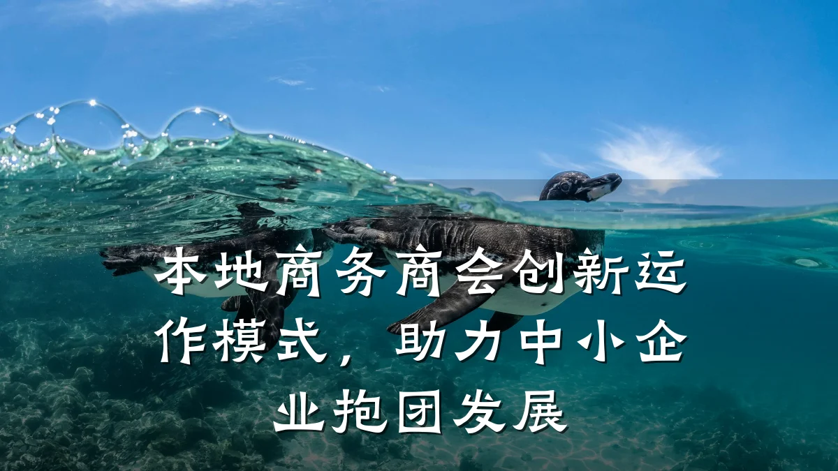 本地商务商会创新运作模式，助力中小企业抱团发展