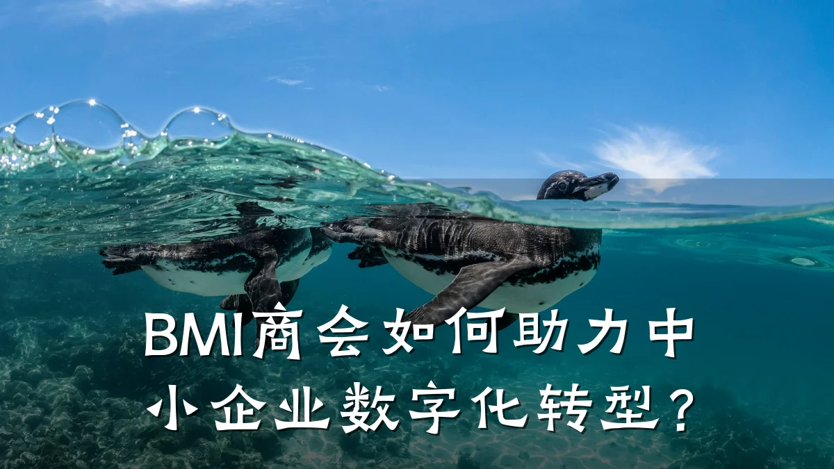 BMI商会如何助力中小企业数字化转型?