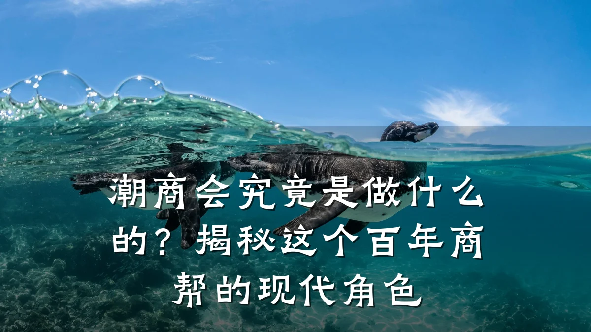 潮商会究竟是做什么的?揭秘这个百年商帮的现代角色