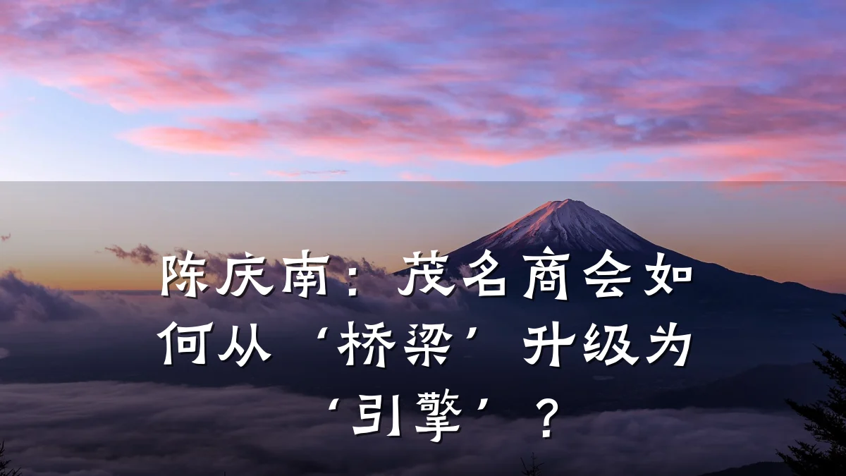 陈庆南:茂名商会如何从‘桥梁’升级为‘引擎’?