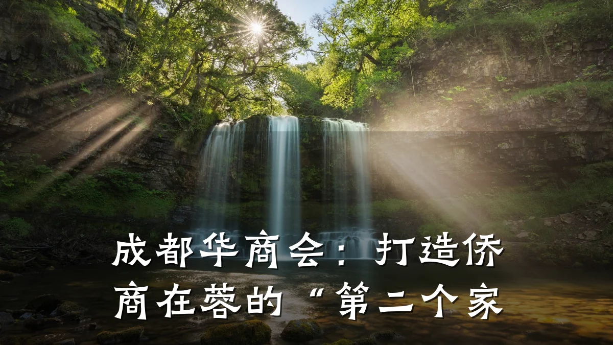 成都华商会:打造侨商在蓉的“第二个家