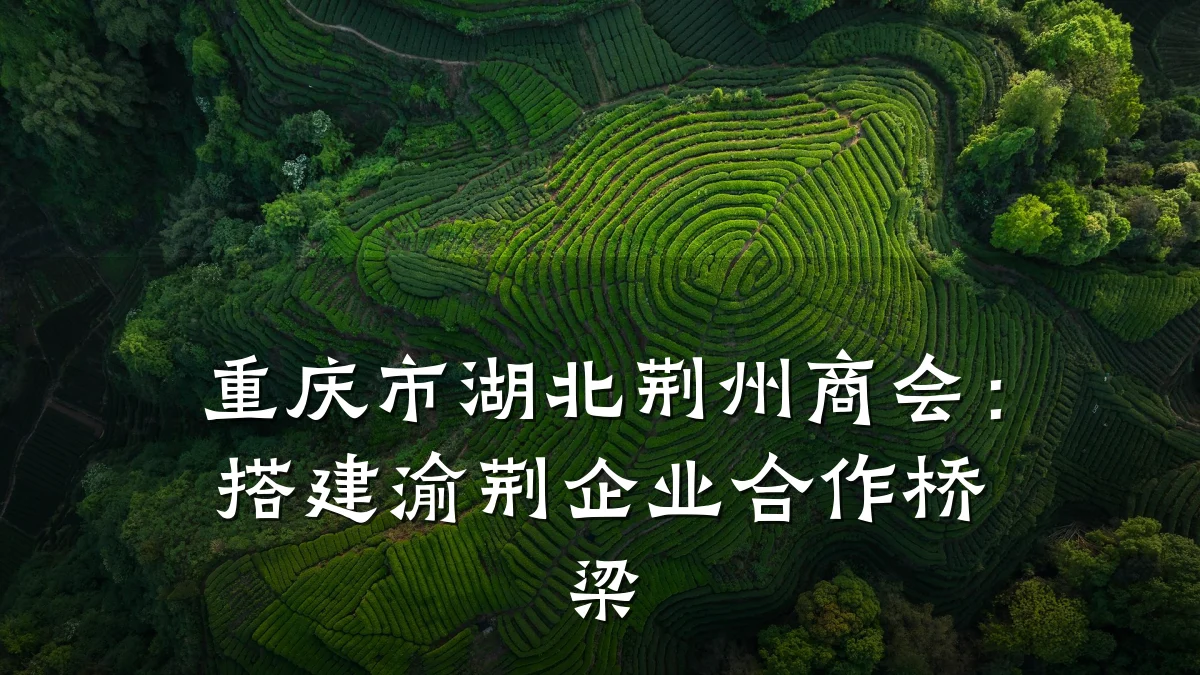重庆市湖北荆州商会:搭建渝荆企业合作桥梁
