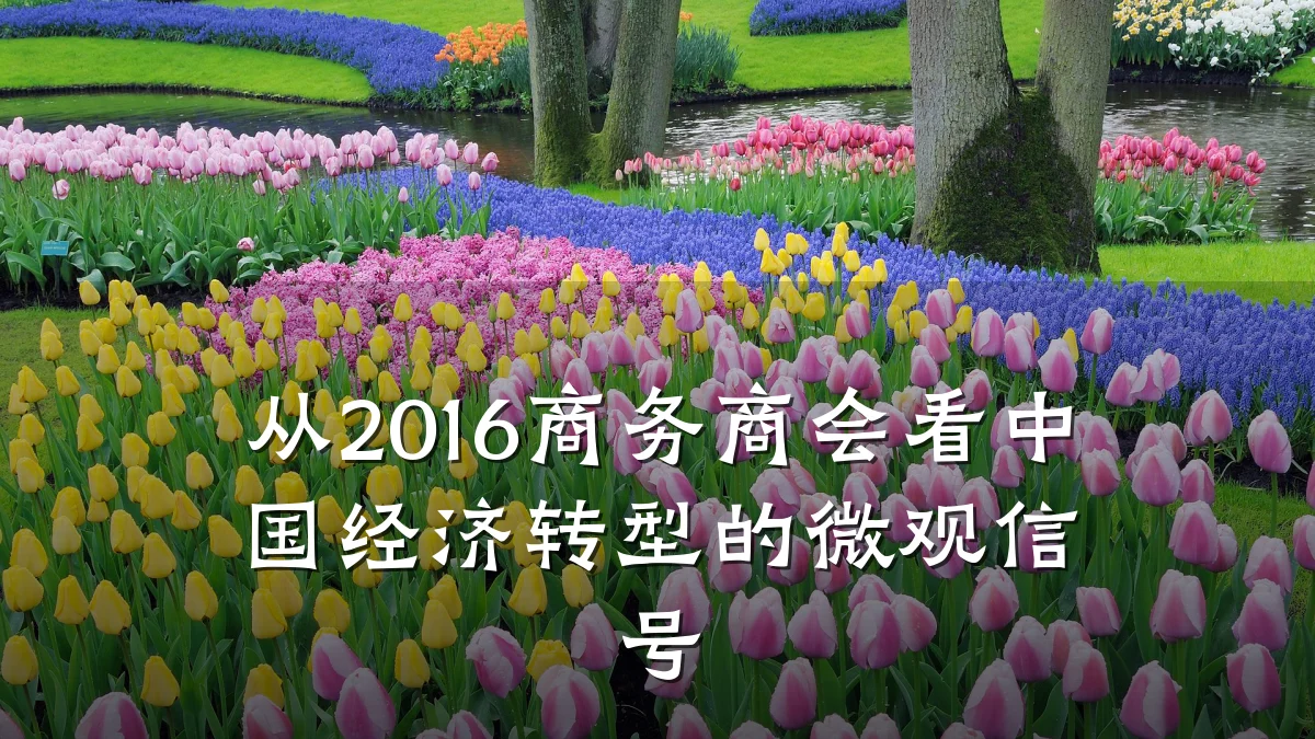 从2016商务商会看中国经济转型的微观信号