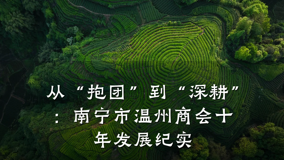 从“抱团”到“深耕”:南宁市温州商会十年发展纪实