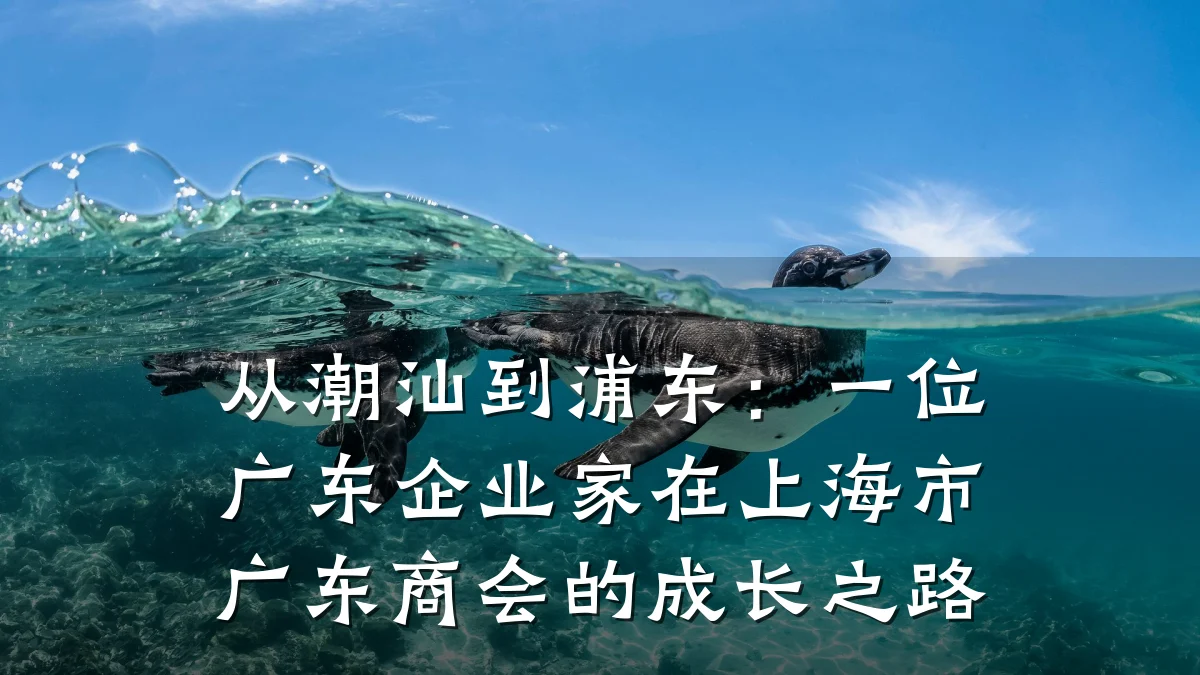 从潮汕到浦东:一位广东企业家在上海市广东商会的成长之路