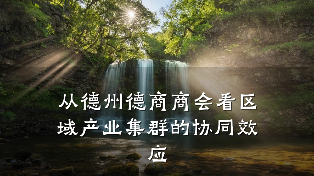 从德州德商商会看区域产业集群的协同效应