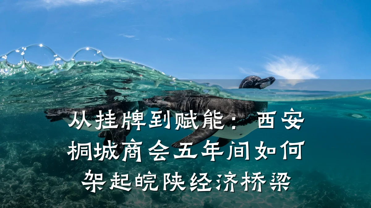从挂牌到赋能：西安桐城商会五年间如何架起皖陕经济桥梁