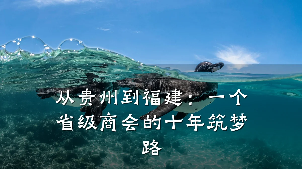 从贵州到福建:一个省级商会的十年筑梦路