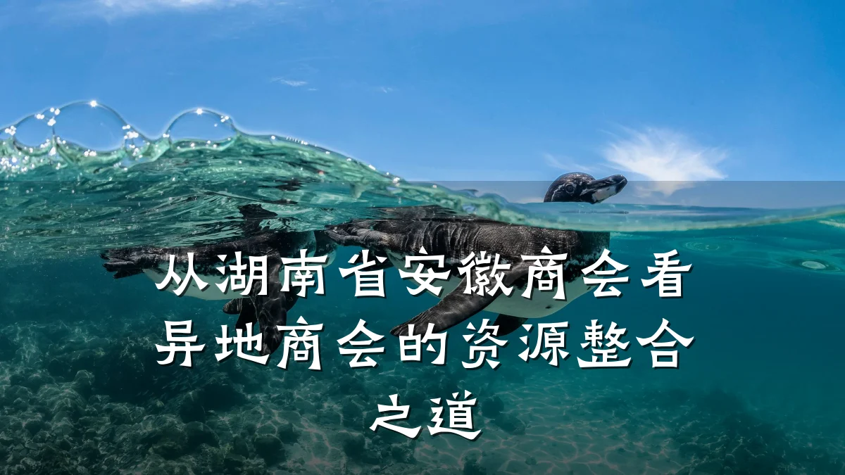 从湖南省安徽商会看异地商会的资源整合之道