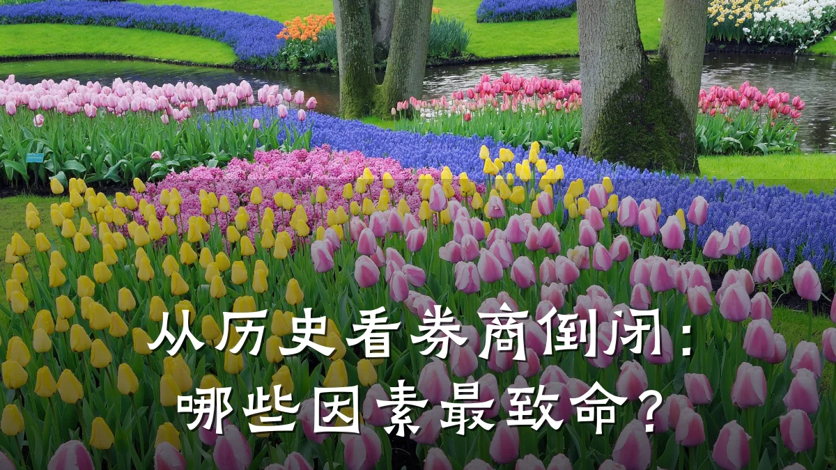 从历史看券商倒闭:哪些因素最致命?