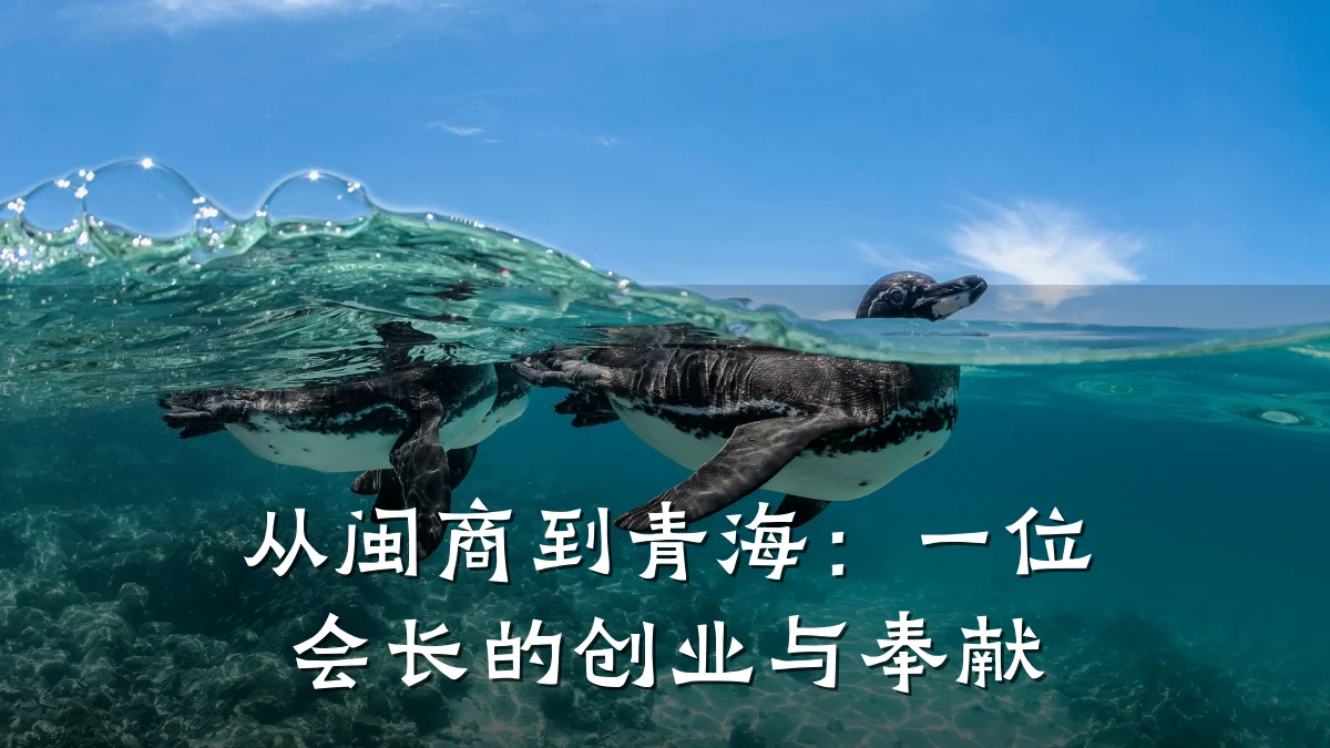 从闽商到青海:一位会长的创业与奉献