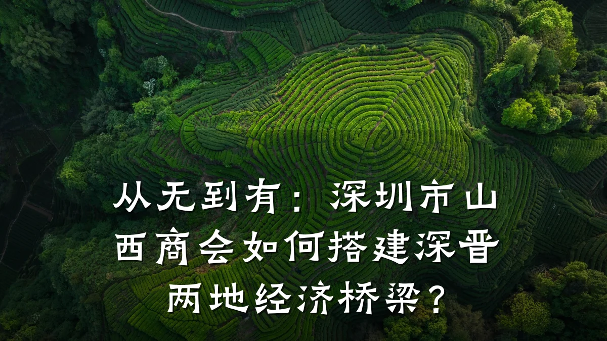 从无到有:深圳市山西商会如何搭建深晋两地经济桥梁?