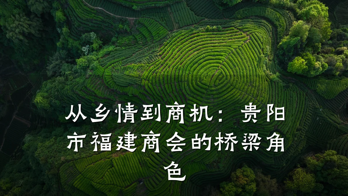 从乡情到商机:贵阳市福建商会的桥梁角色