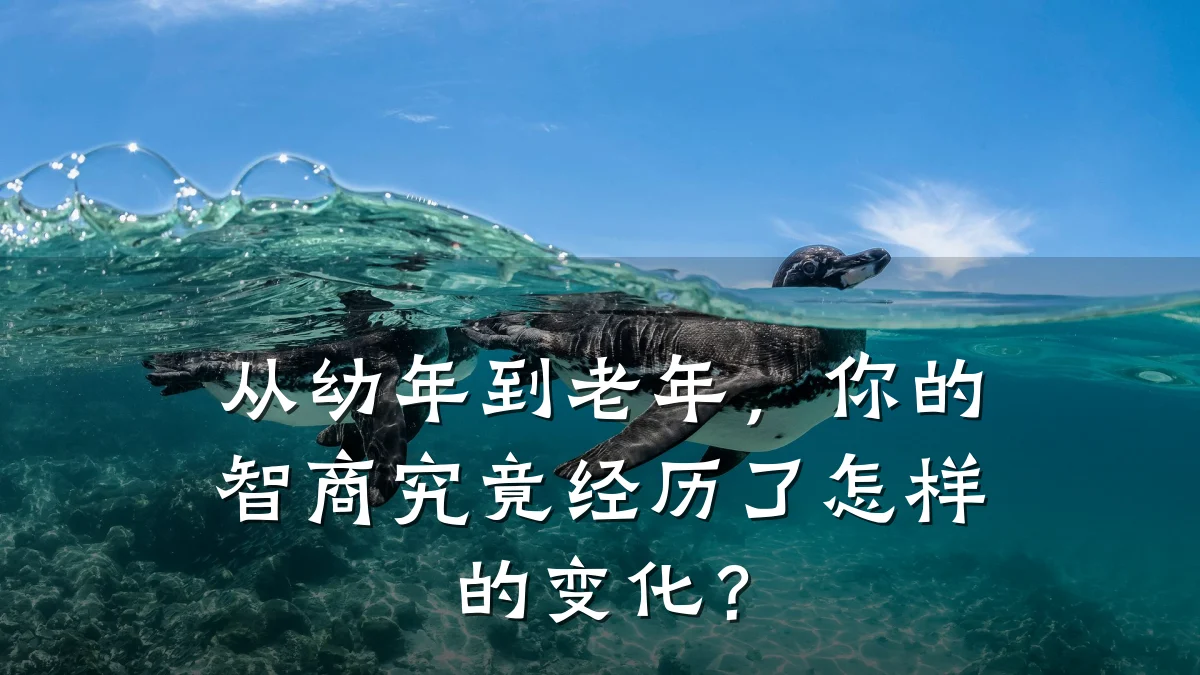 从幼年到老年,你的智商究竟经历了怎样的变化?