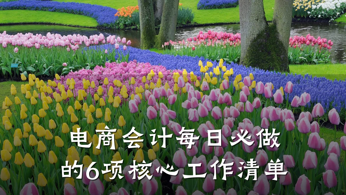 电商会计每日必做的6项核心工作清单