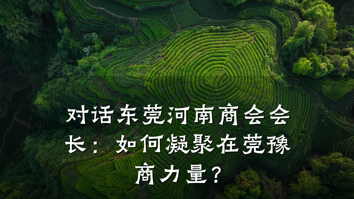 对话东莞河南商会会长：如何凝聚在莞豫商力量？