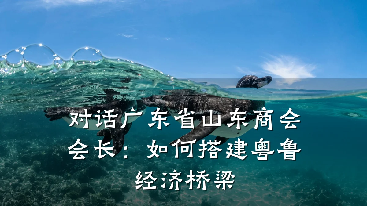 对话广东省山东商会会长:如何搭建粤鲁经济桥梁