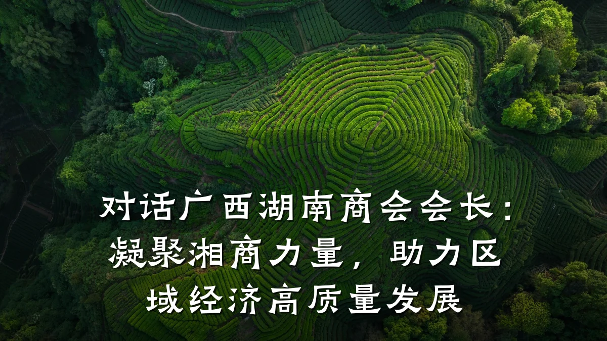 对话广西湖南商会会长：凝聚湘商力量，助力区域经济高质量发展