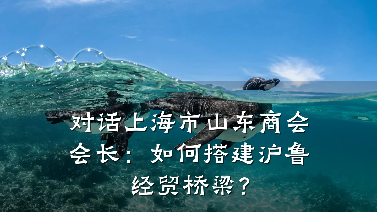 对话上海市山东商会会长:如何搭建沪鲁经贸桥梁?