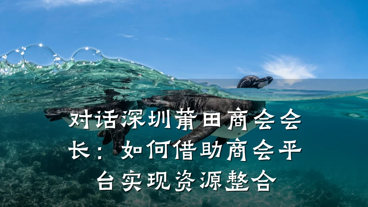 对话深圳莆田商会会长:如何借助商会平台实现资源整合