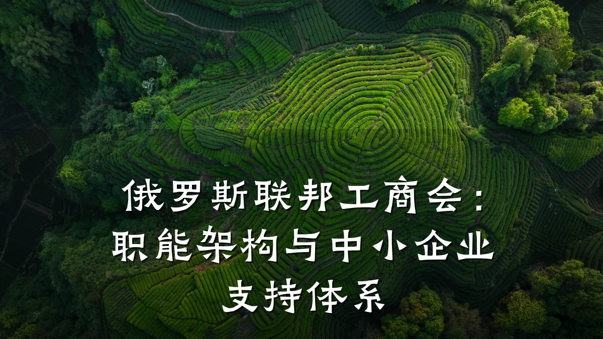 俄罗斯联邦工商会:职能架构与中小企业支持体系