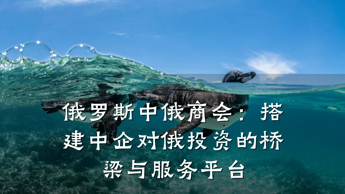 俄罗斯中俄商会:搭建中企对俄投资的桥梁与服务平台